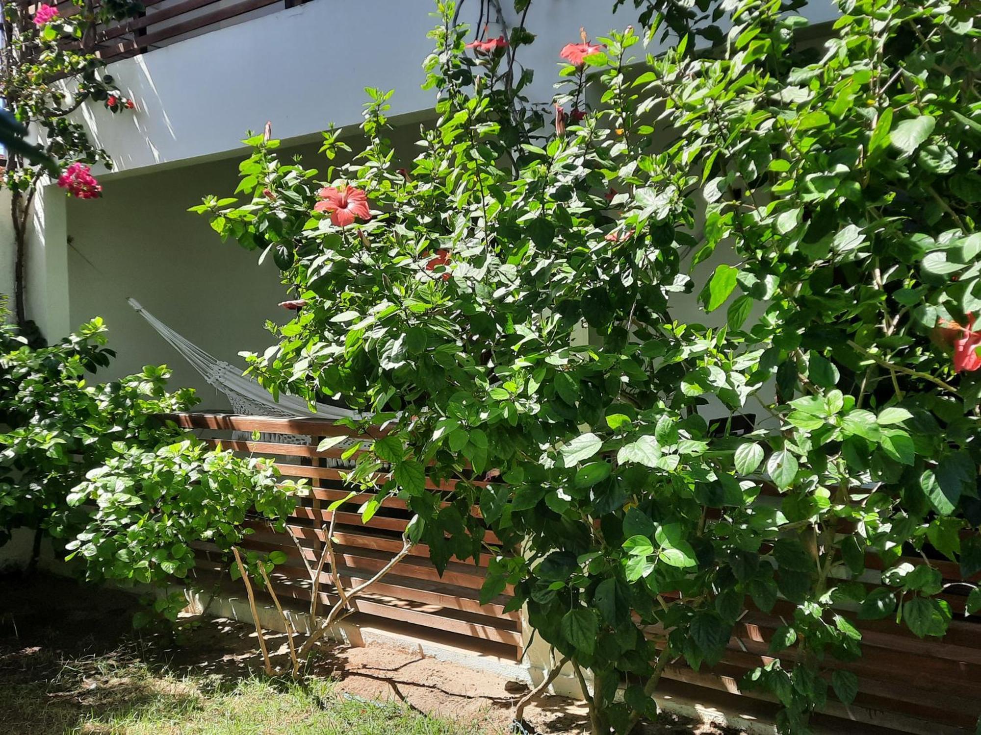 فيلا جيجوكا دي جيريكواكوارافي Casa Betti المظهر الخارجي الصورة